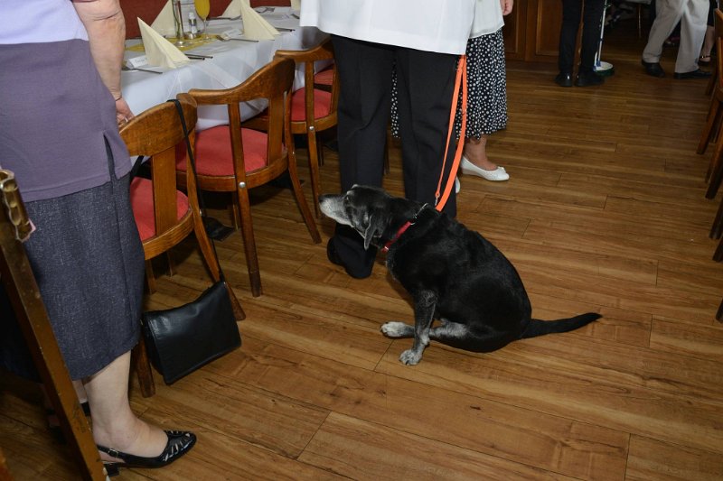 Richard 80 160918 08.jpg